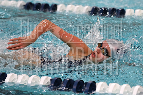 GFY_7846