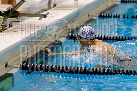 12-7-2018 PHS Swimming-71