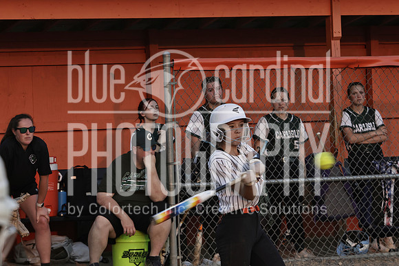 GDO Palmyra JV Softball 4-24-25_0048