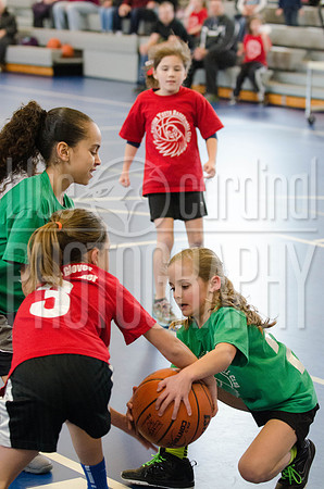 GFY_1193