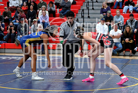 GFY_8541