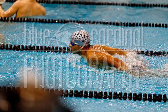 12-7-2018 PHS Swimming-106