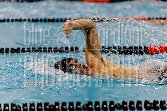 12-7-2018 PHS Swimming-46