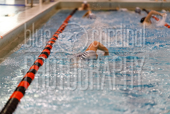 12-7-2018 PHS Swimming-95
