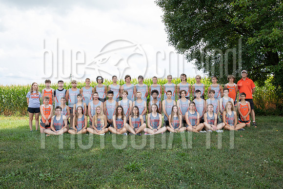 BCP_1981