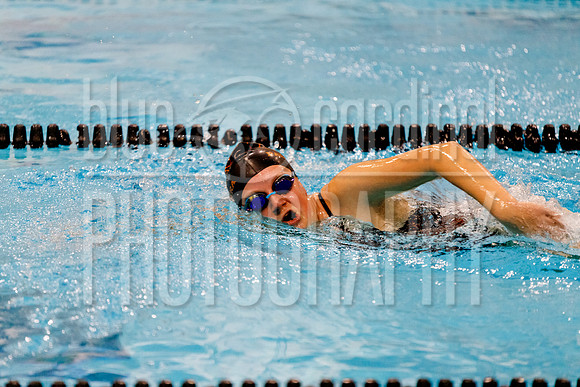 12-7-2018 PHS Swimming-124