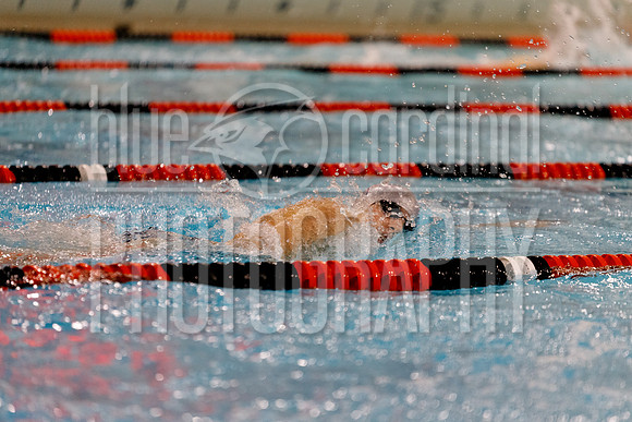 12-7-2018 PHS Swimming-47