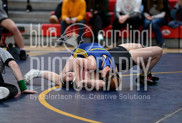 GFY_8191