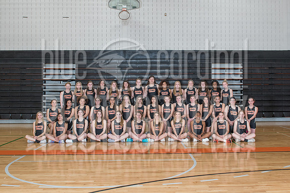 PHS G. Track_GFY_1176