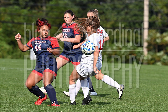 GFY_6333