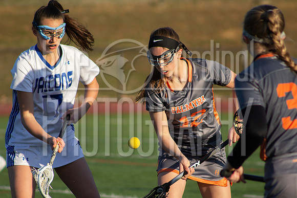 CC_Palmyra_Lax_Jr_Varsity-39