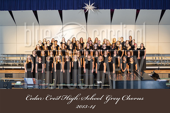 _D3S9246 Grey Chorus