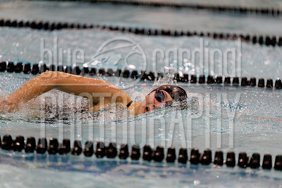 12-7-2018 PHS Swimming-36