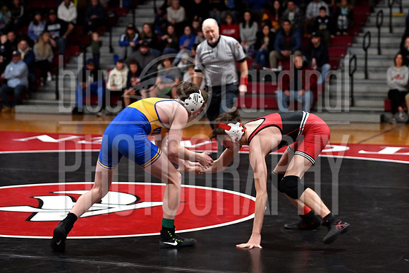 GFY_4919