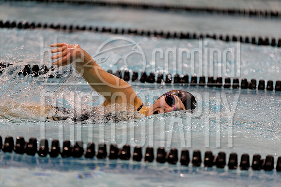 12-7-2018 PHS Swimming-37